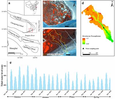 Annual Lateral Organic Carbon Exchange Between Salt Marsh and Adjacent Water: A Case Study of East Headland Marshes at the Yangtze Estuary